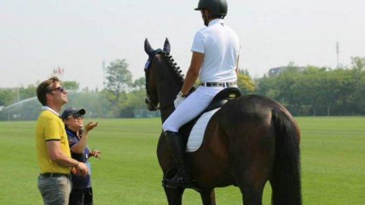 Le Manège de la Chapinière - photo 1