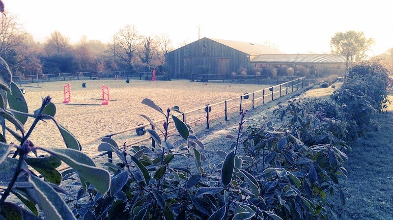 Le Manège de la Chapinière - photo 3