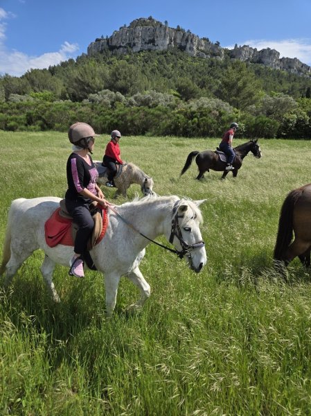 Ecuries du Lion d'Or - photo 2