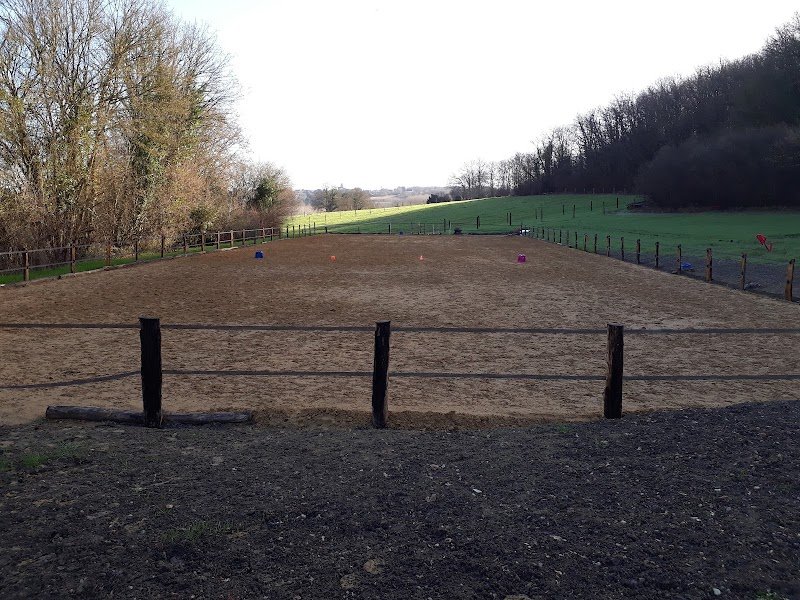 Pension chevaux Monthoiron (écurie de propriétaires) - photo 1