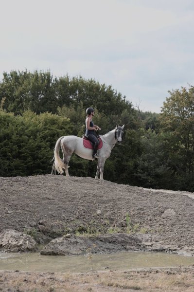 Pension chevaux Monthoiron (écurie de propriétaires) - photo 2