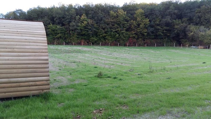 Pension chevaux Monthoiron (écurie de propriétaires) - photo 3