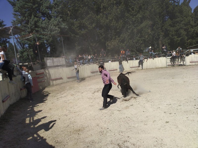 Les Écuries des Alpines