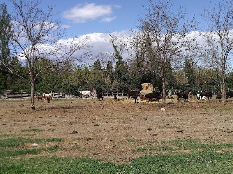 Les Écuries des Alpines - photo 2