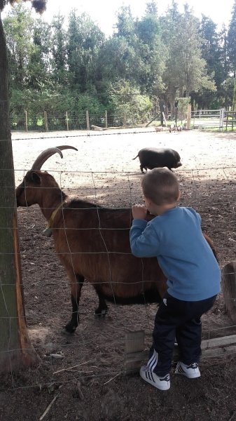 Les Écuries des Alpines - photo 3