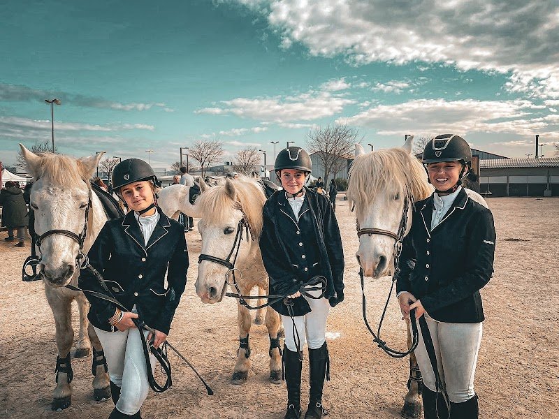 Ecuries du Mas de l'Olive - photo 2