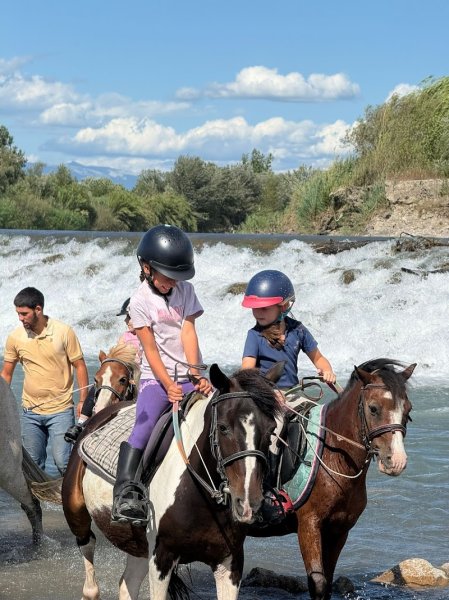 Ecuries du Mas de l'Olive - photo 3