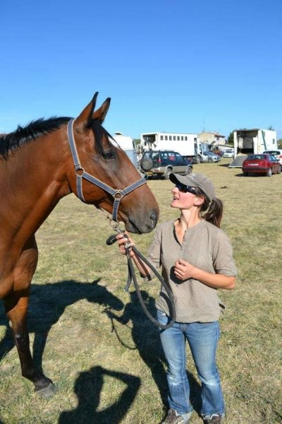 Pension pour chevaux - Ecuries de la Grange Blanche - photo 3