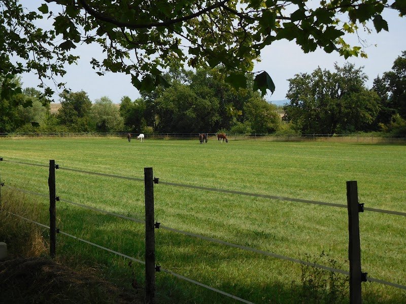 Pension Equestre Domaine De Tayolle - photo 1