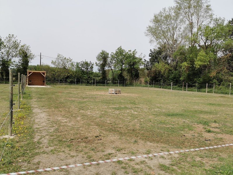 Les Ecuries de Miémart - photo 1