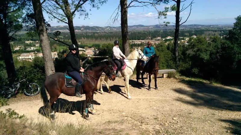 Les Écuries du Cheval d'Argent - photo 2