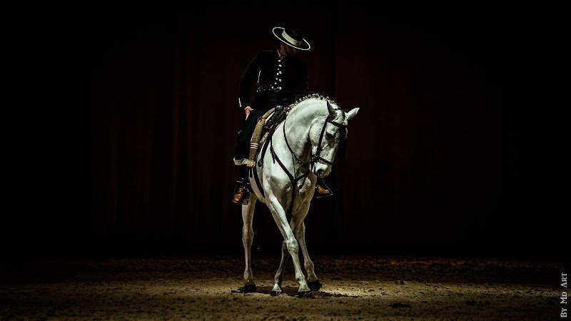 Écurie Mélanie BAYLE - Barbentane - photo 3