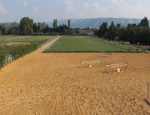 Horse & Fit - photo 1