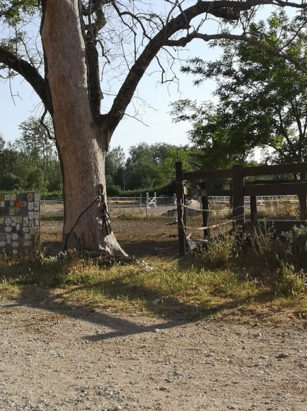 Les Ecuries Du Soleil - photo 1