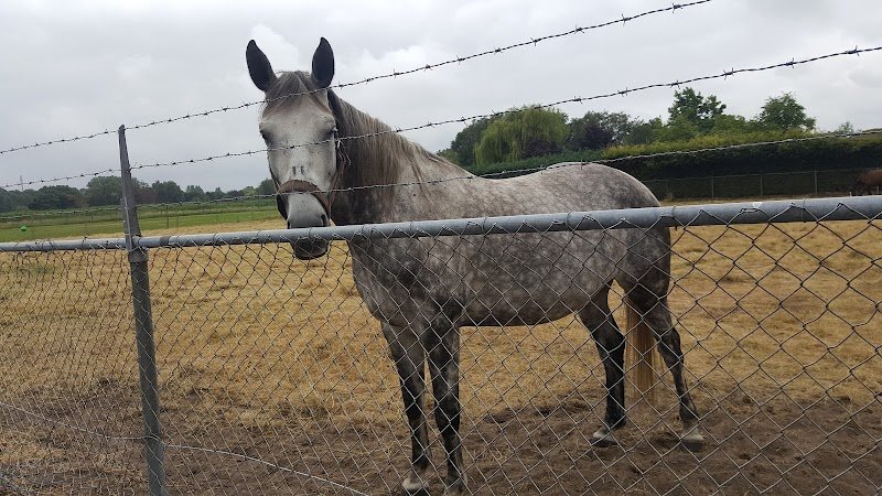 Les Ecuries Du Soleil - photo 3