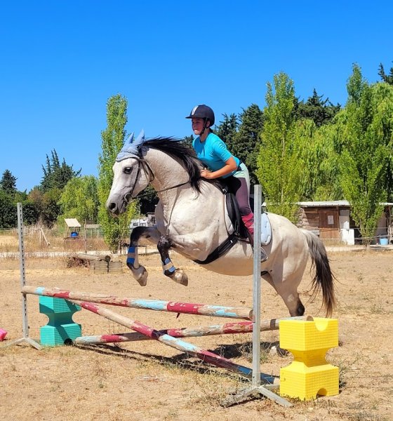 Ecurie L'Isle Aux Chevaux