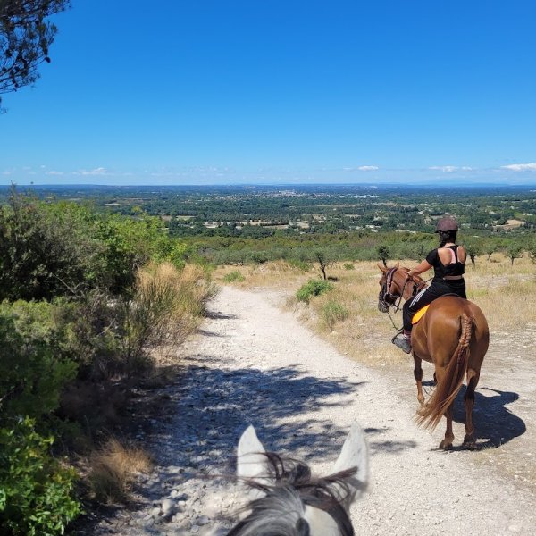 Ecurie L'Isle Aux Chevaux - photo 2
