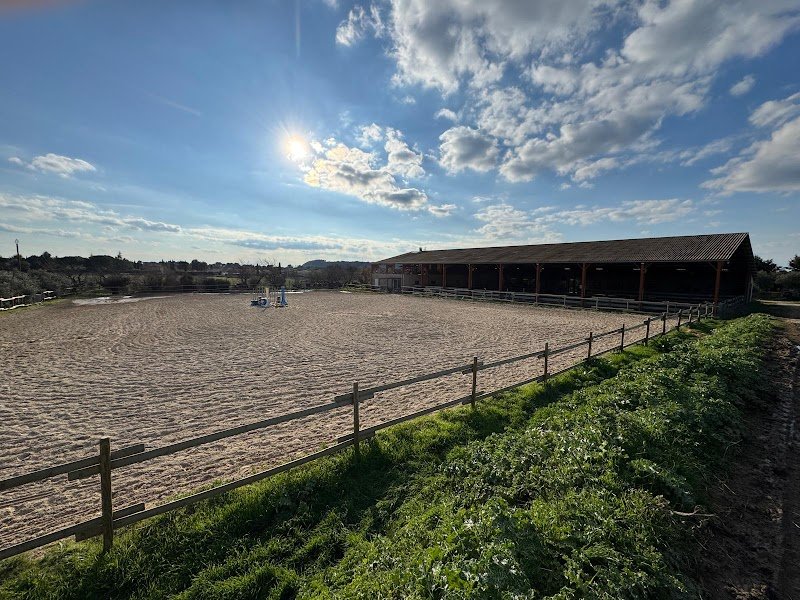 Écuries de l'Auzon / Pensions