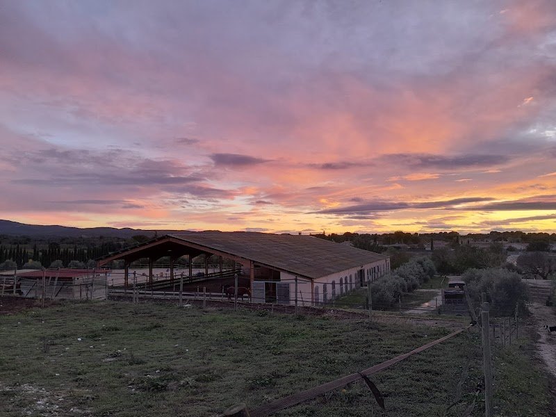 Écuries de l'Auzon / Pensions - photo 2