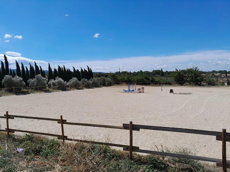 Écuries de l'Auzon / Pensions - photo 3