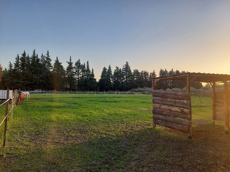 Écurie Les Sabots d'Azur - photo 2