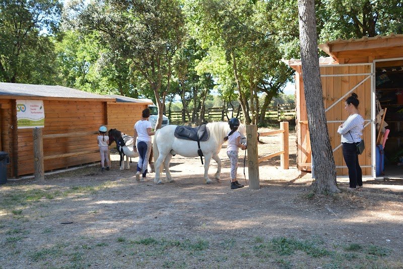 LUCKY HORSE Ranch - photo 2