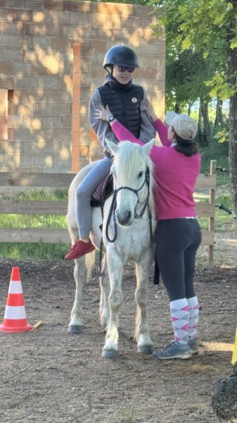 LUCKY HORSE Ranch - photo 3