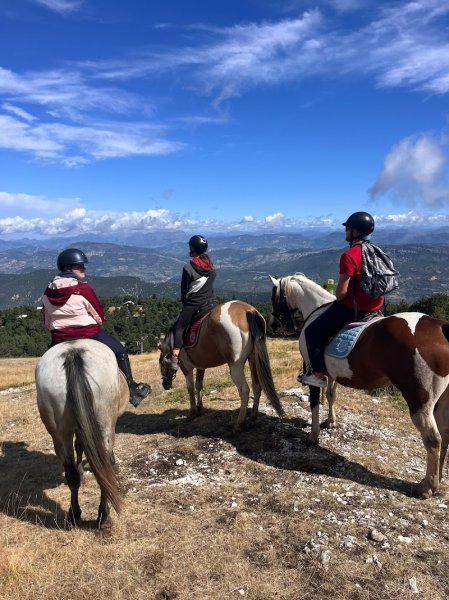 Pension pour chevaux - Ecuries de la Louvière