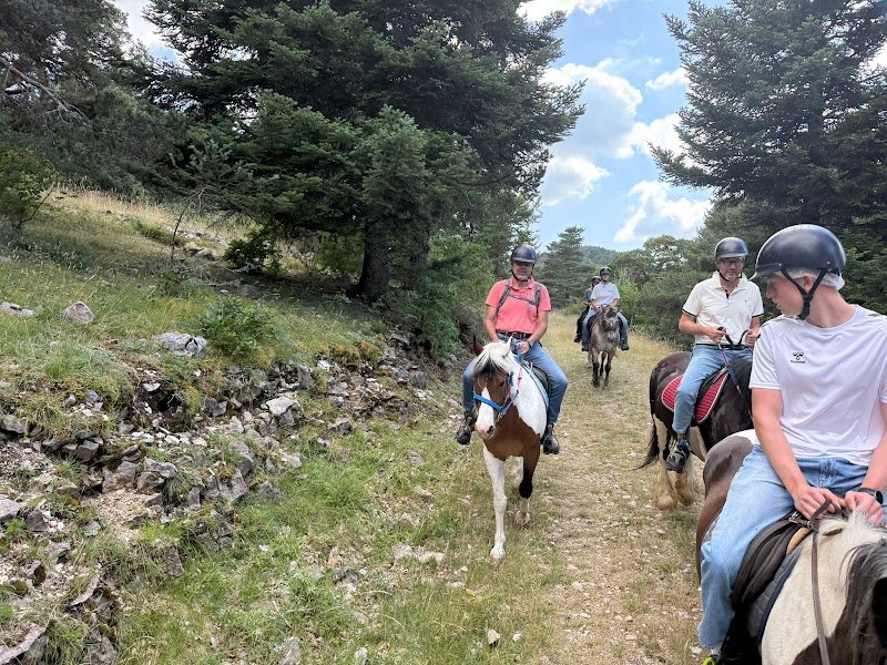 Pension pour chevaux - Ecuries de la Louvière - photo 2
