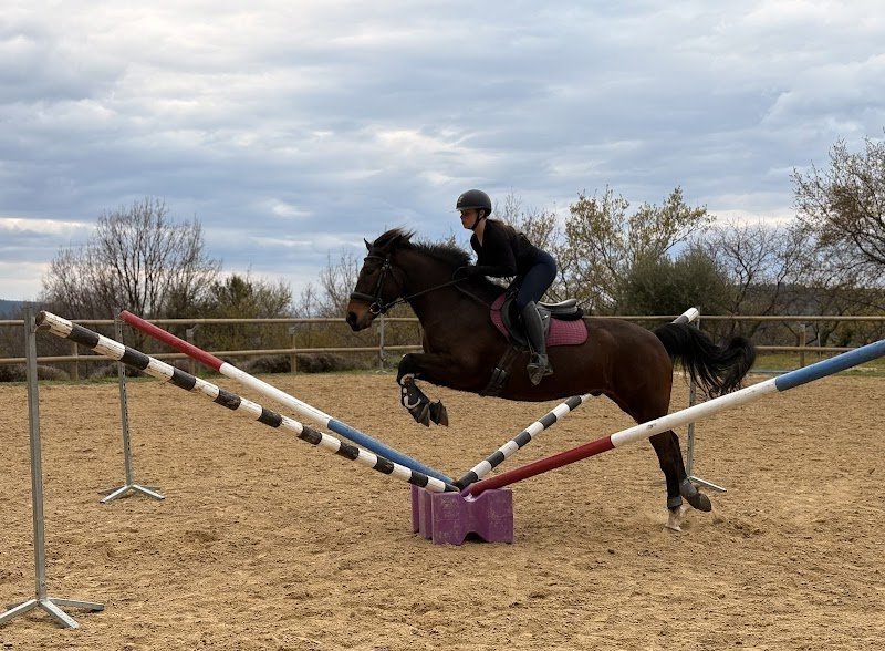 Écurie la Borie - photo 3