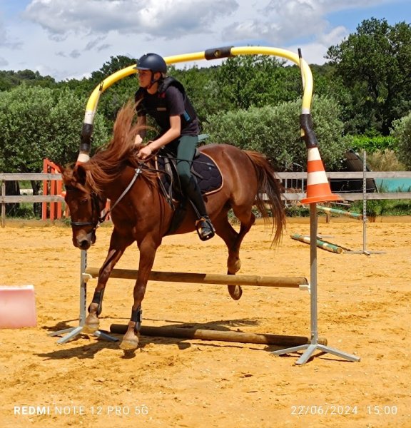 Laura AUBERT Ecurie Asinerie (Les Sabots du Limon) - photo 3