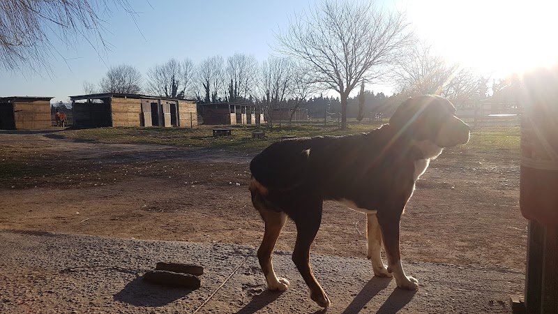 Ecurie yanenga - photo 3