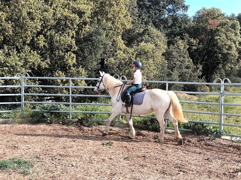 Les cavaliers du Ventoux - photo 1