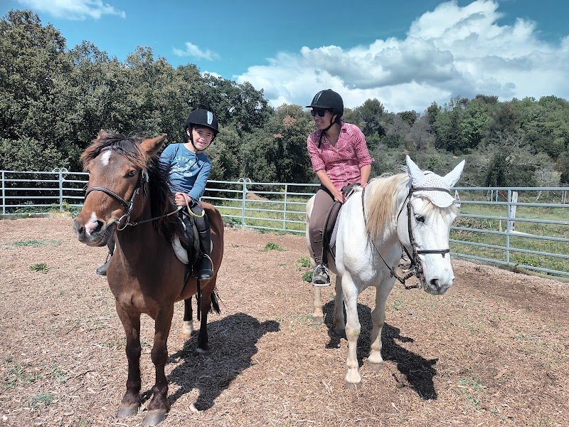 Les cavaliers du Ventoux - photo 2
