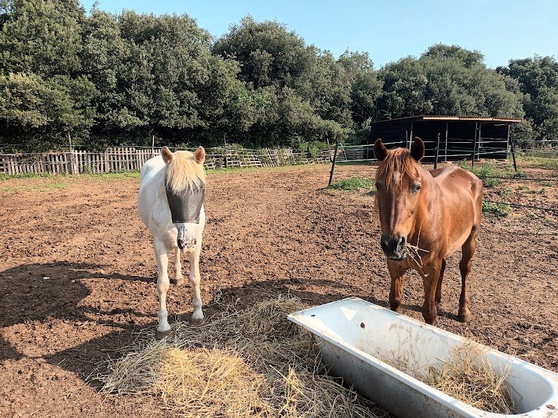 Les cavaliers du Ventoux - photo 3