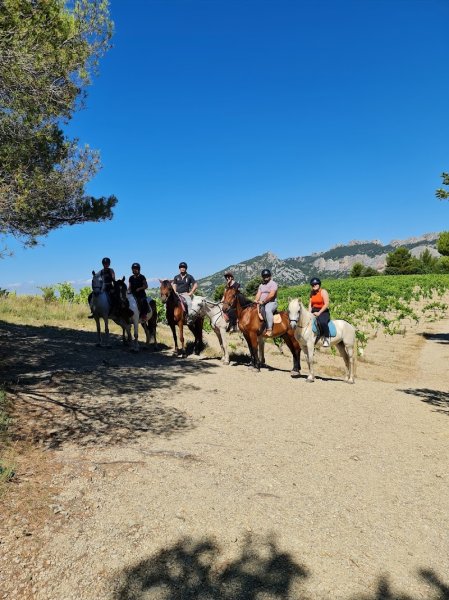 Les Écuries de Vela - Lafare à Cheval