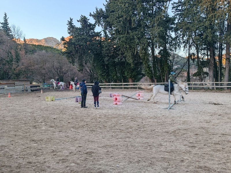 Les Écuries de Vela - Lafare à Cheval - photo 2