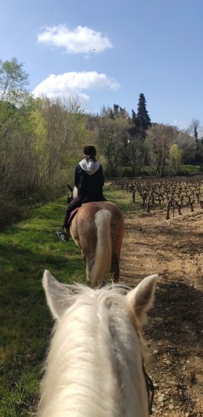 Les Écuries de Vela - Lafare à Cheval - photo 3