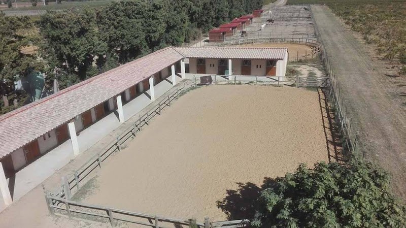 Les écuries Nicolas D - photo 1