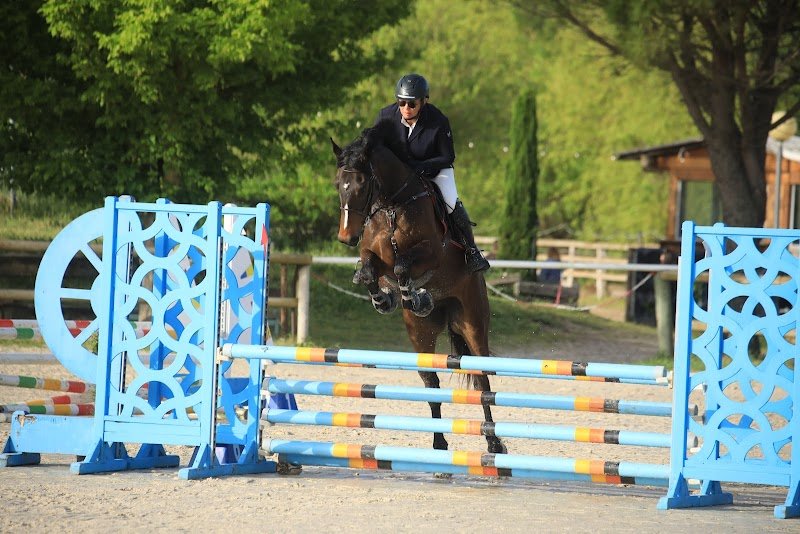 Les écuries Nicolas D - photo 2