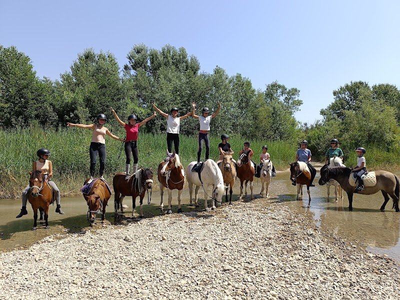 Les écuries de la plane - photo 1