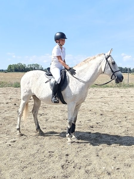 Les écuries de la plane - photo 3