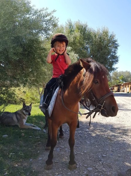 Centre equestre La Marteliere - photo 2