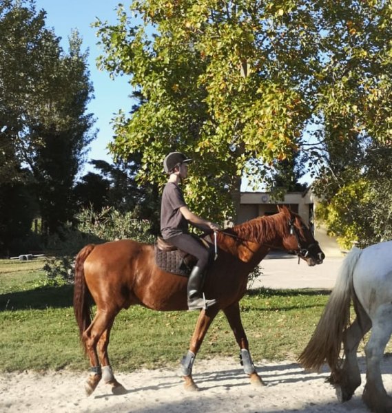 Les Écuries de Caderousse - photo 3