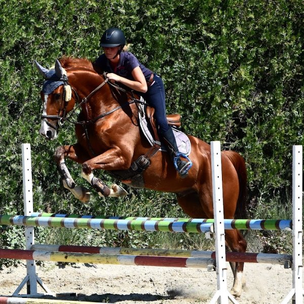 Centre équestre du clos d'Enfer - photo 1