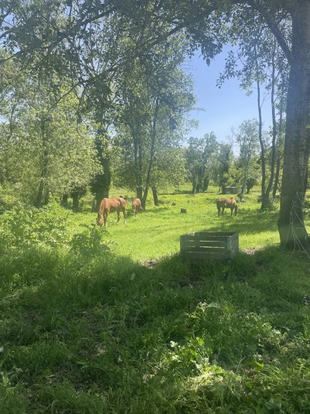 Domaine équestre de Leca