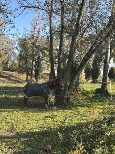Domaine équestre de Leca - photo 3