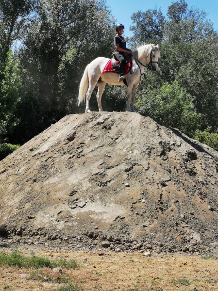 Écuries des Chardons - photo 1