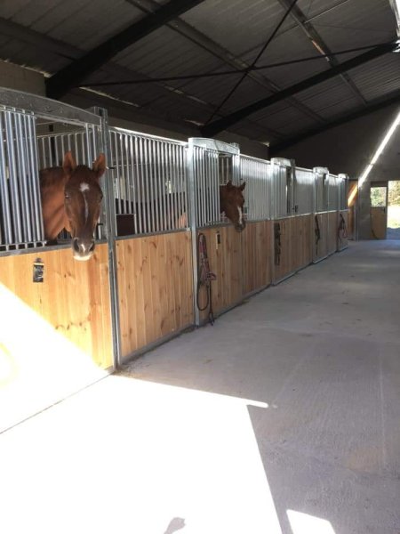 Ecurie GUERRAZZI . Pension -Valorisation cheval de sport