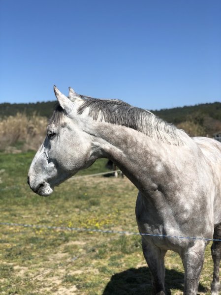 Domaine équestre de la Durance